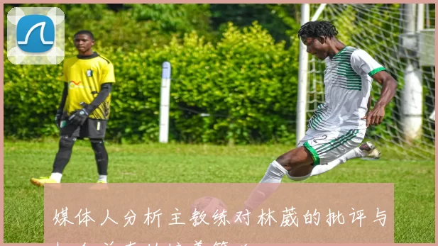 媒体人分析主教练对林葳的批评与机会并存的培养策略