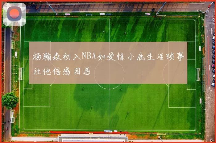 杨瀚森初入NBA如受惊小鹿生活琐事让他倍感困惑